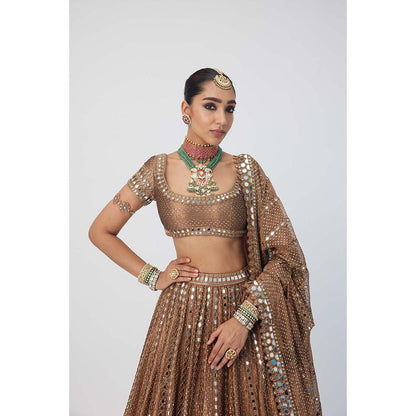 Vvani by Vani Vats Copper Shimmer Organza Sequins Lehenga with Blouse and Dupatta (Set of 3)