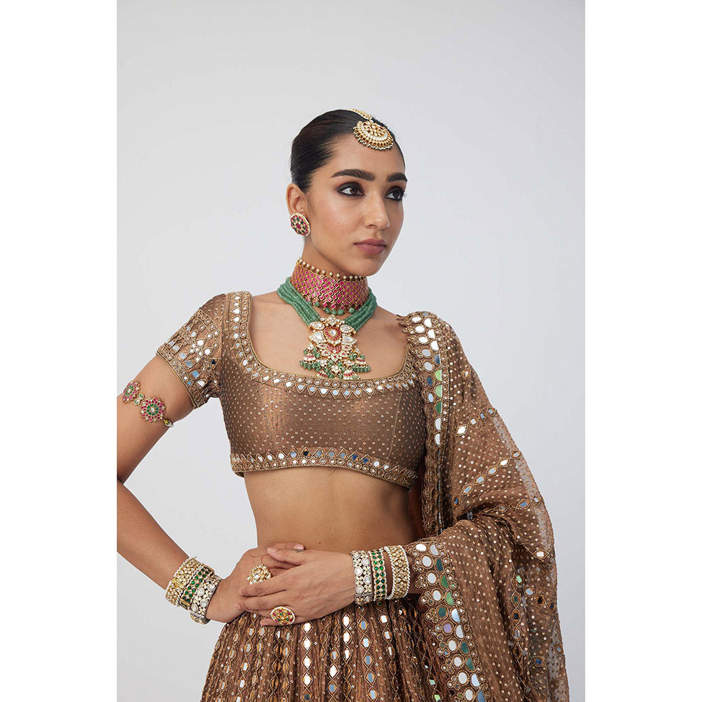 Vvani by Vani Vats Copper Shimmer Organza Sequins Lehenga with Blouse and Dupatta (Set of 3)