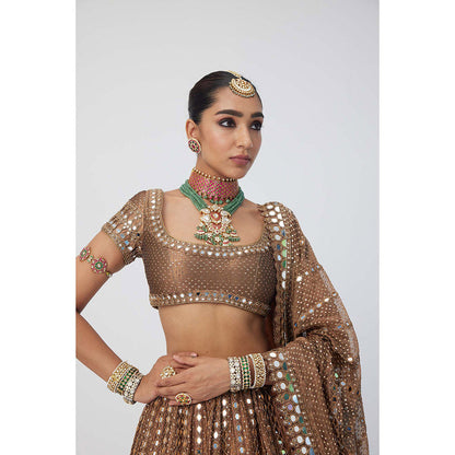 Vvani by Vani Vats Copper Shimmer Organza Sequins Lehenga with Blouse and Dupatta (Set of 3)