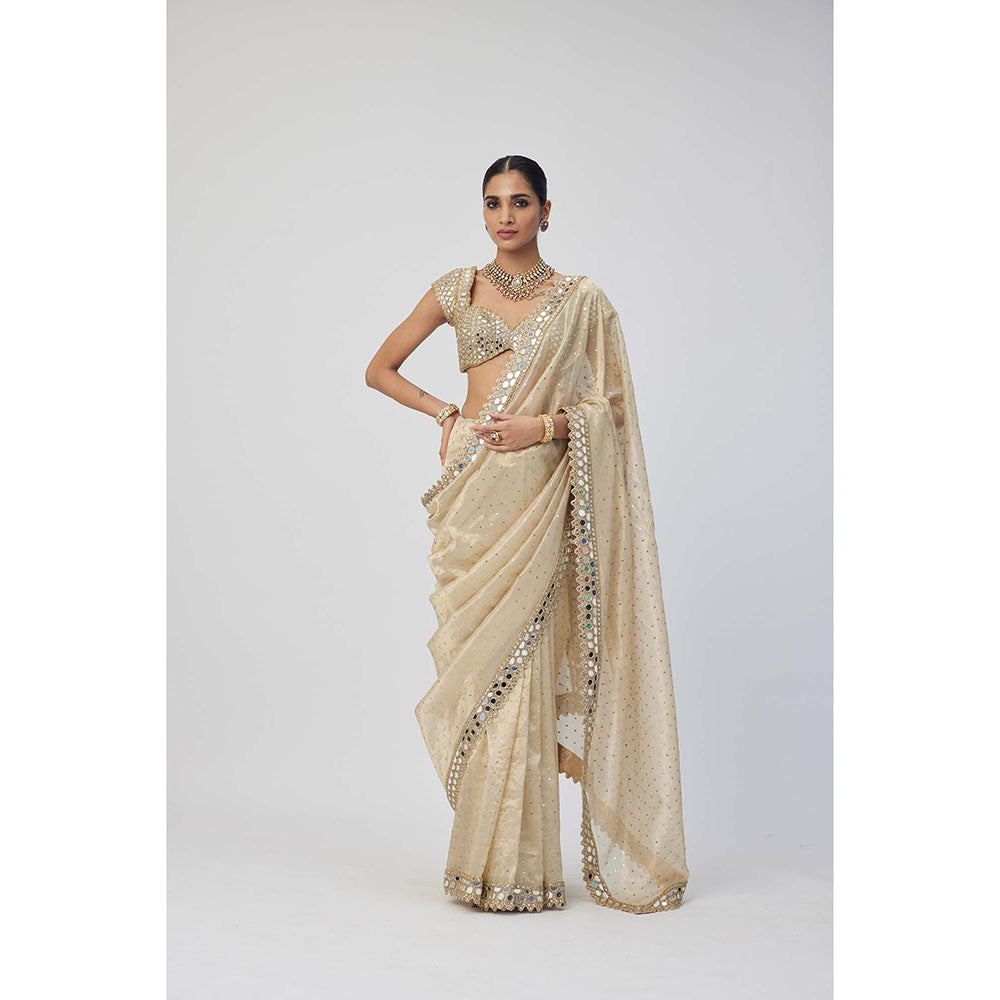 Vvani by Vani Vats Beige Shimmer Organza Saree with Stitched Blouse