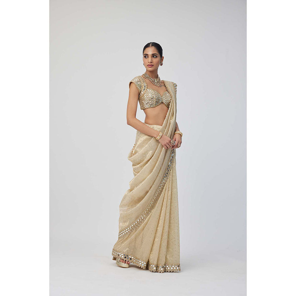 Vvani by Vani Vats Beige Shimmer Organza Saree with Stitched Blouse