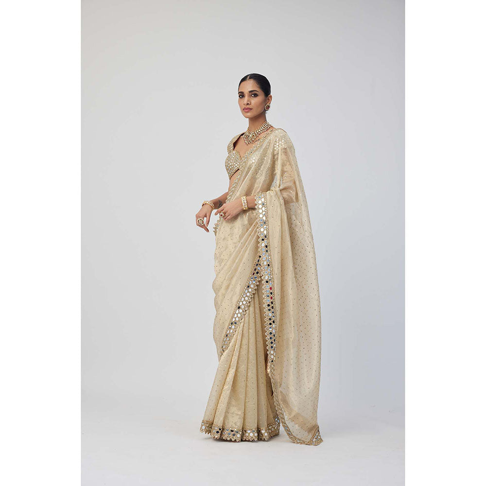 Vvani by Vani Vats Beige Shimmer Organza Saree with Stitched Blouse