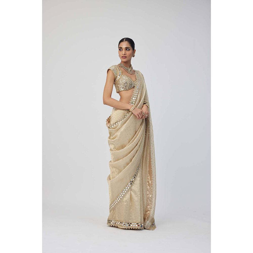 Vvani by Vani Vats Beige Shimmer Organza Saree with Stitched Blouse