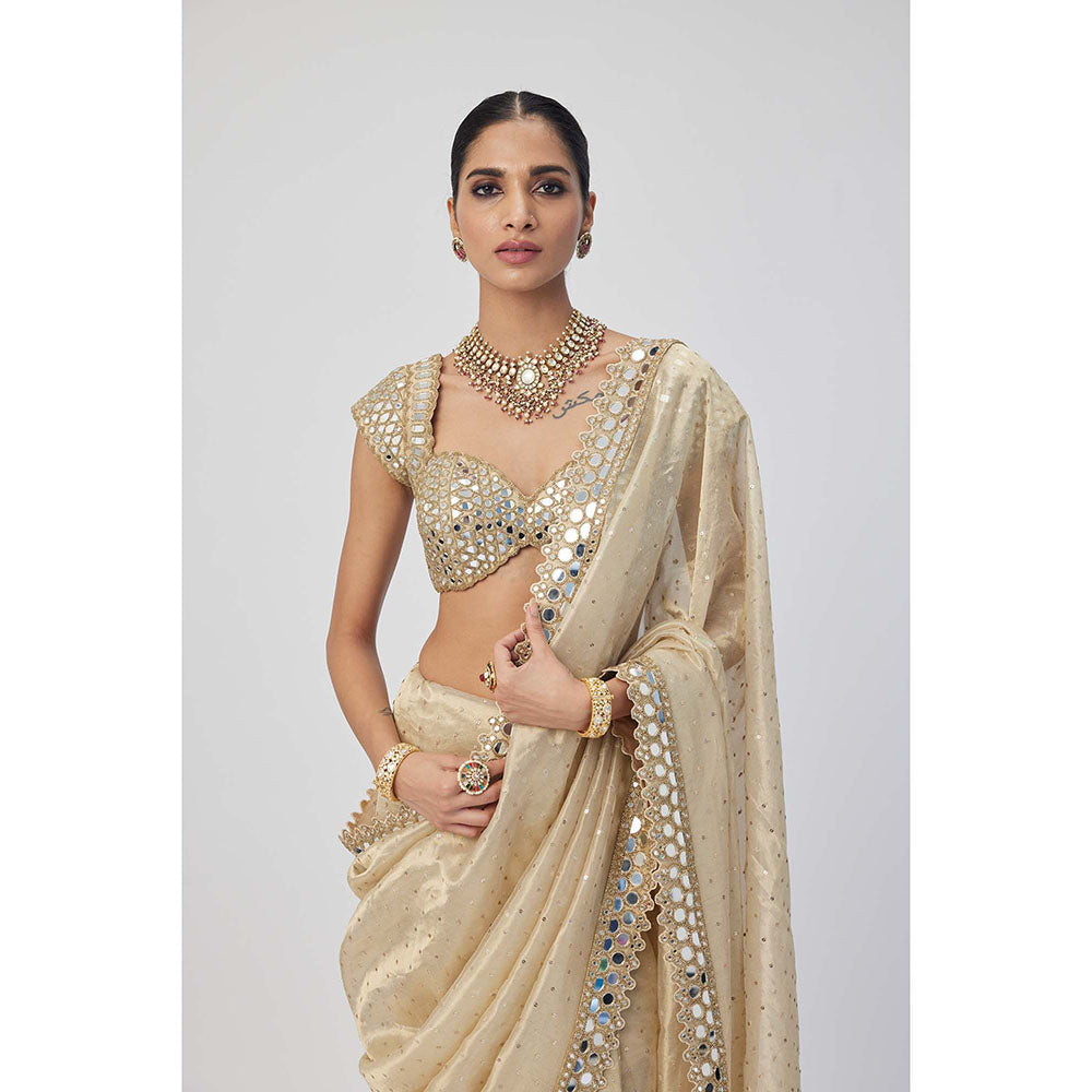 Vvani by Vani Vats Beige Shimmer Organza Saree with Stitched Blouse
