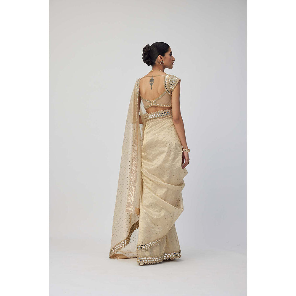 Vvani by Vani Vats Beige Shimmer Organza Saree with Stitched Blouse