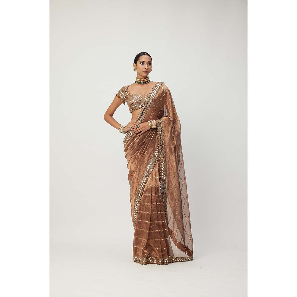 Vvani by Vani Vats Copper Shimmer Organza Saree with Stitched Blouse