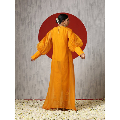 WAZIR C Mustard Top Straight Fit Pants with Drape (Set of 3)