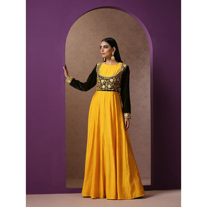 WAZIR C Mustard And Green Gowns
