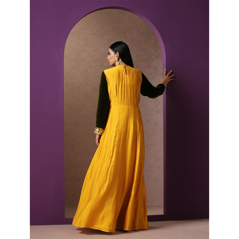 WAZIR C Mustard And Green Gowns