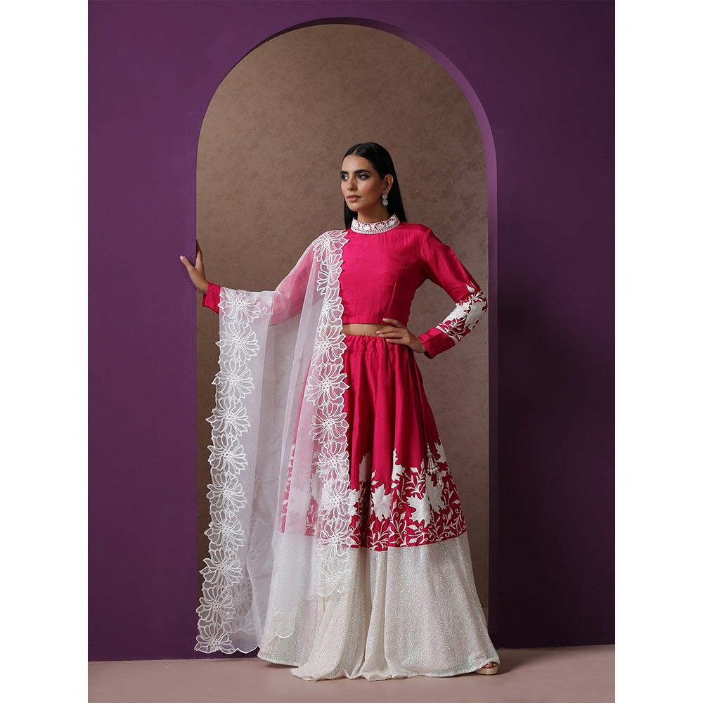 WAZIR C Hot Pink And White Lehenga Top with Dupatta (Set of 3)
