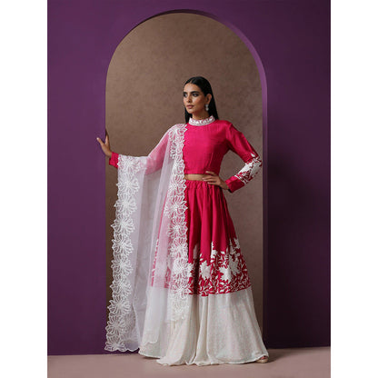 WAZIR C Hot Pink And White Lehenga Top with Dupatta (Set of 3)