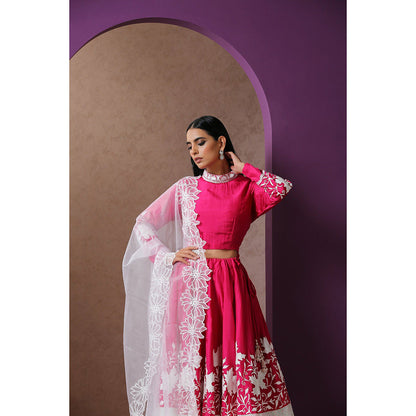 WAZIR C Hot Pink And White Lehenga Top with Dupatta (Set of 3)