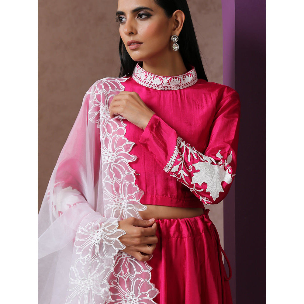 WAZIR C Hot Pink And White Lehenga Top with Dupatta (Set of 3)
