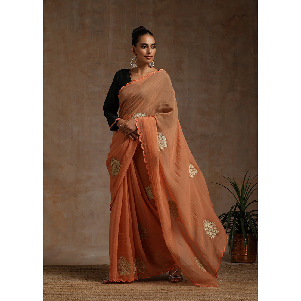 WAZIR C Rust Saree with Green Blouse