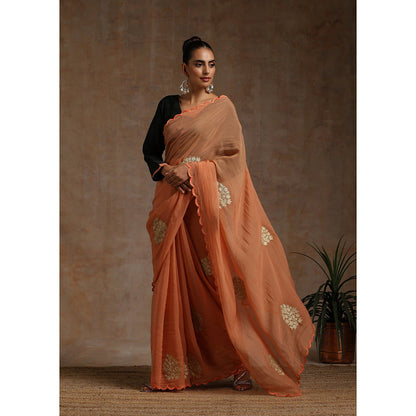 WAZIR C Rust Saree with Green Blouse