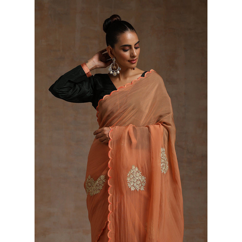 WAZIR C Rust Saree with Green Blouse