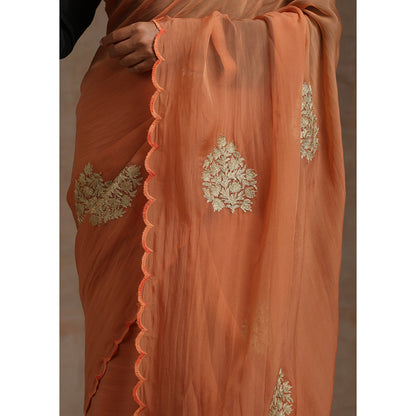 WAZIR C Rust Saree with Green Blouse