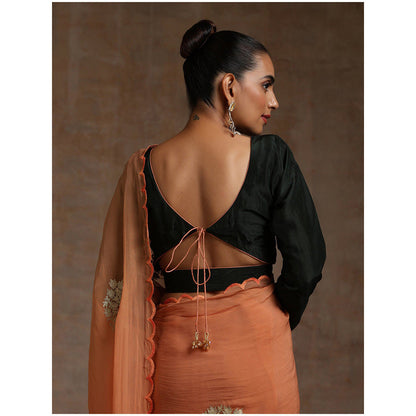 WAZIR C Rust Saree with Green Blouse