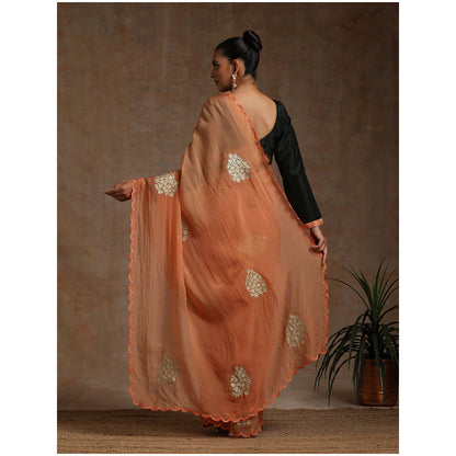 WAZIR C Rust Saree with Green Blouse