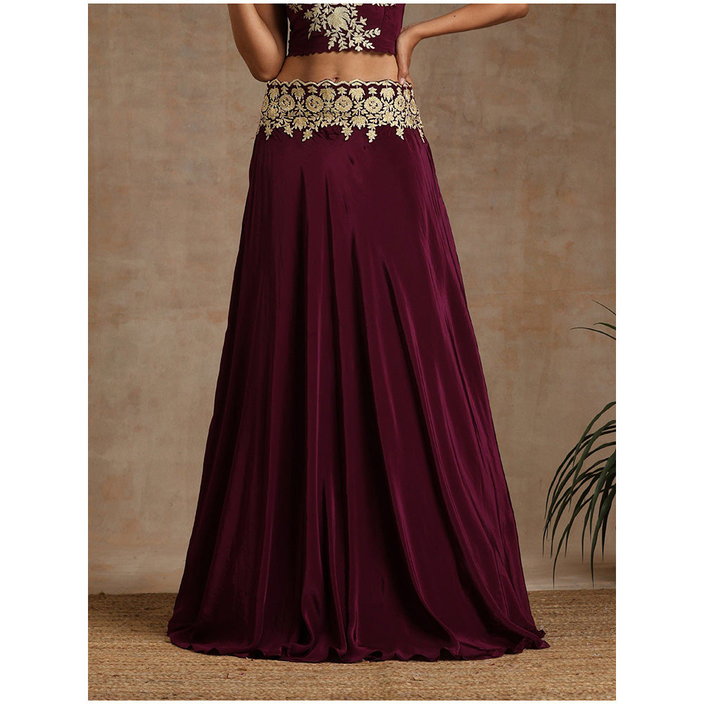 WAZIR C Wine Colored Lehenga with A Organza Cape And Crop Top (Set of 3)
