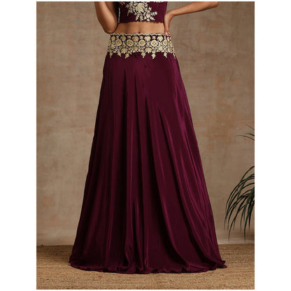 WAZIR C Wine Colored Lehenga with A Organza Cape And Crop Top (Set of 3)