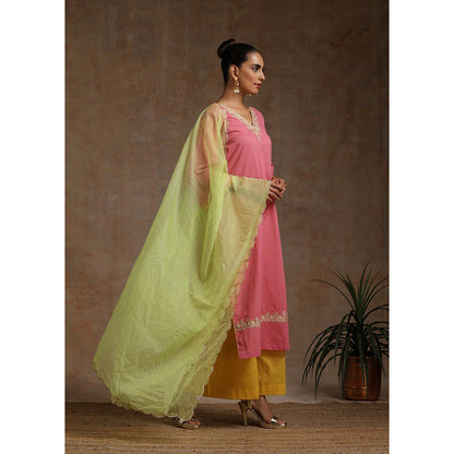 WAZIR C Pink Olive And Yellow Kurta Pant & Dupatta (Set of 3)