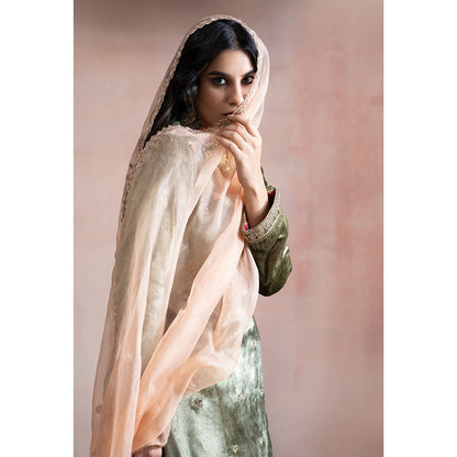 WeaverStory Olive Green Hand Embroidered Kurta with Salwar & Peach Organza Dupatta (Set of 3)