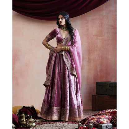 WeaverStory Hand Embroidered Grape Lehenga with Blouse & Organza Dupatta (Set of 3)