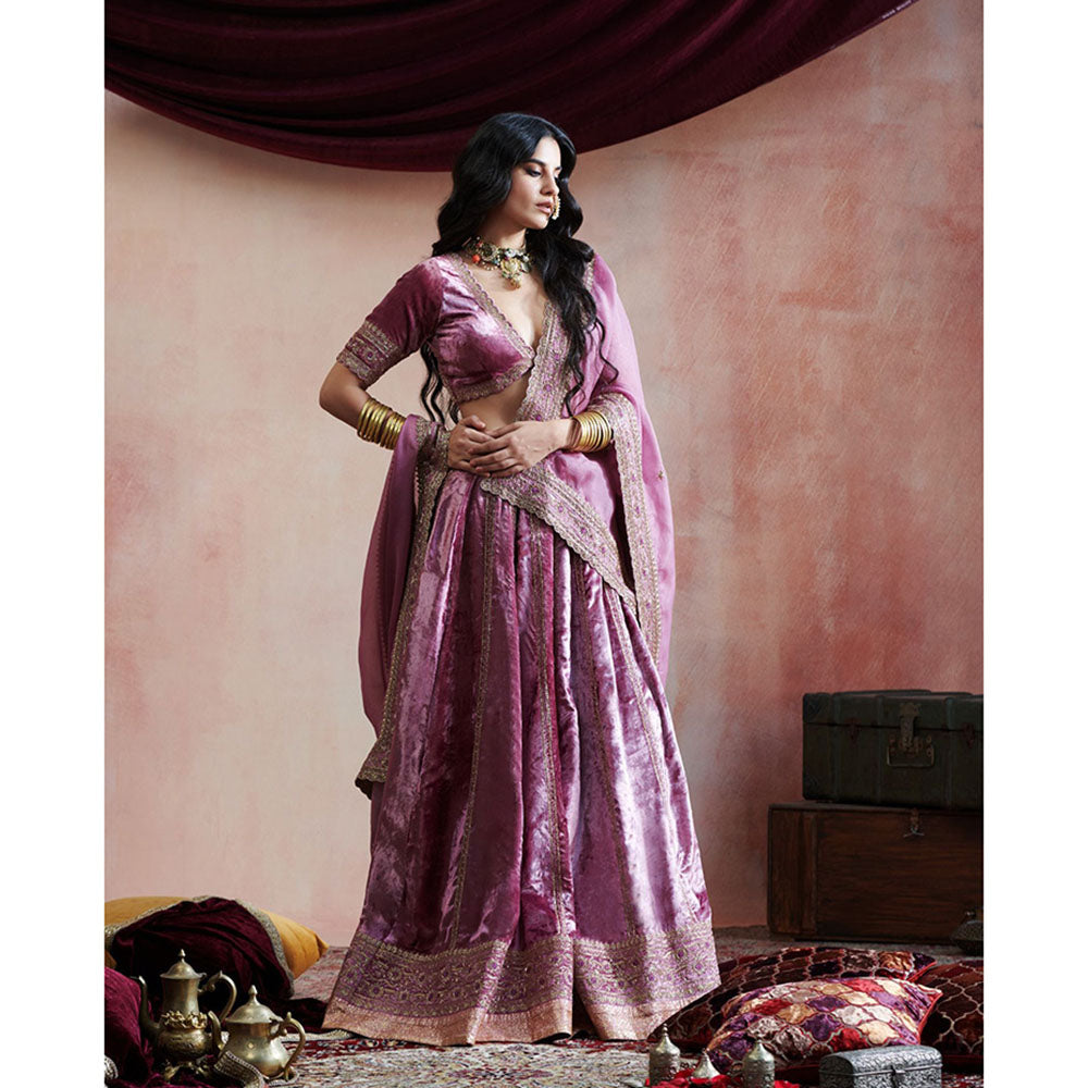 WeaverStory Hand Embroidered Grape Lehenga with Blouse & Organza Dupatta (Set of 3)