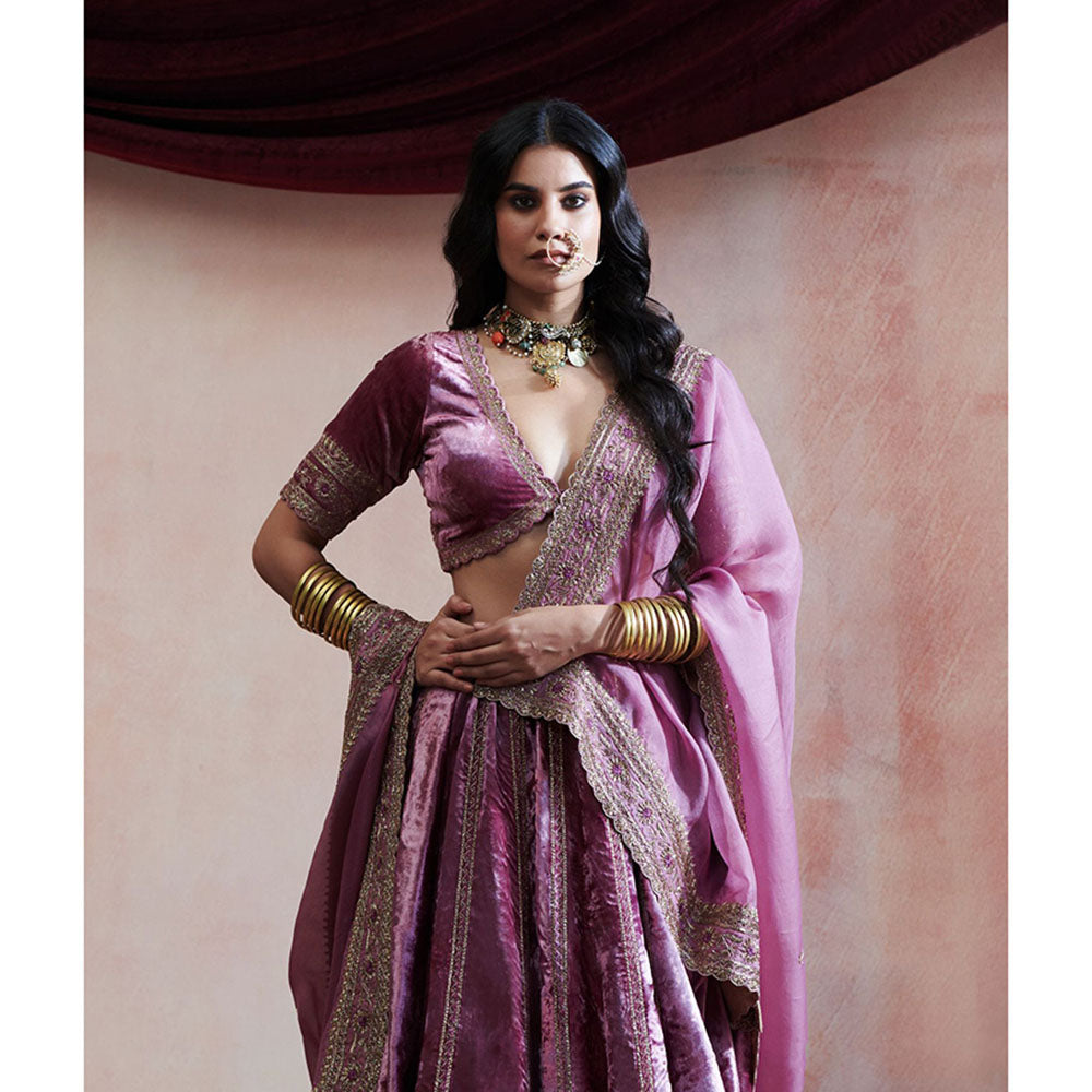 WeaverStory Hand Embroidered Grape Lehenga with Blouse & Organza Dupatta (Set of 3)