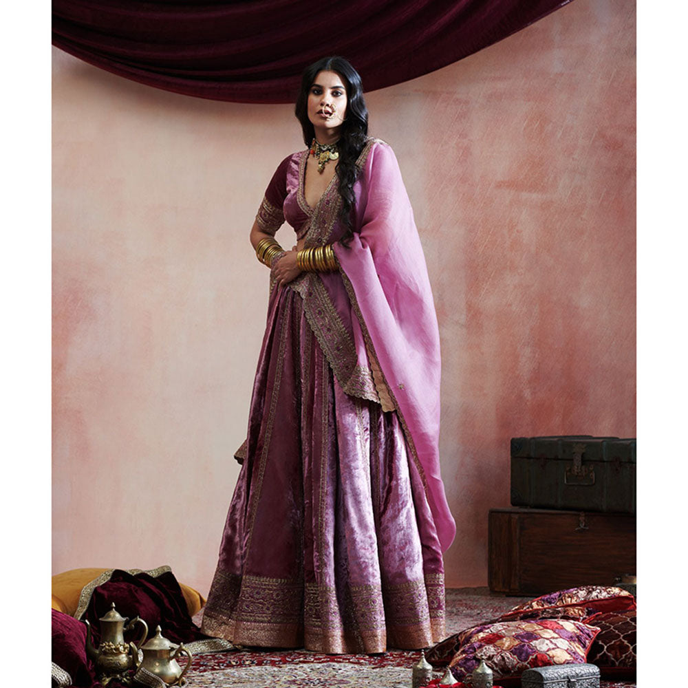 WeaverStory Hand Embroidered Grape Lehenga with Blouse & Organza Dupatta (Set of 3)