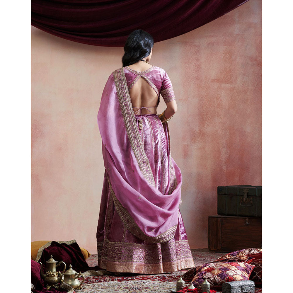 WeaverStory Hand Embroidered Grape Lehenga with Blouse & Organza Dupatta (Set of 3)