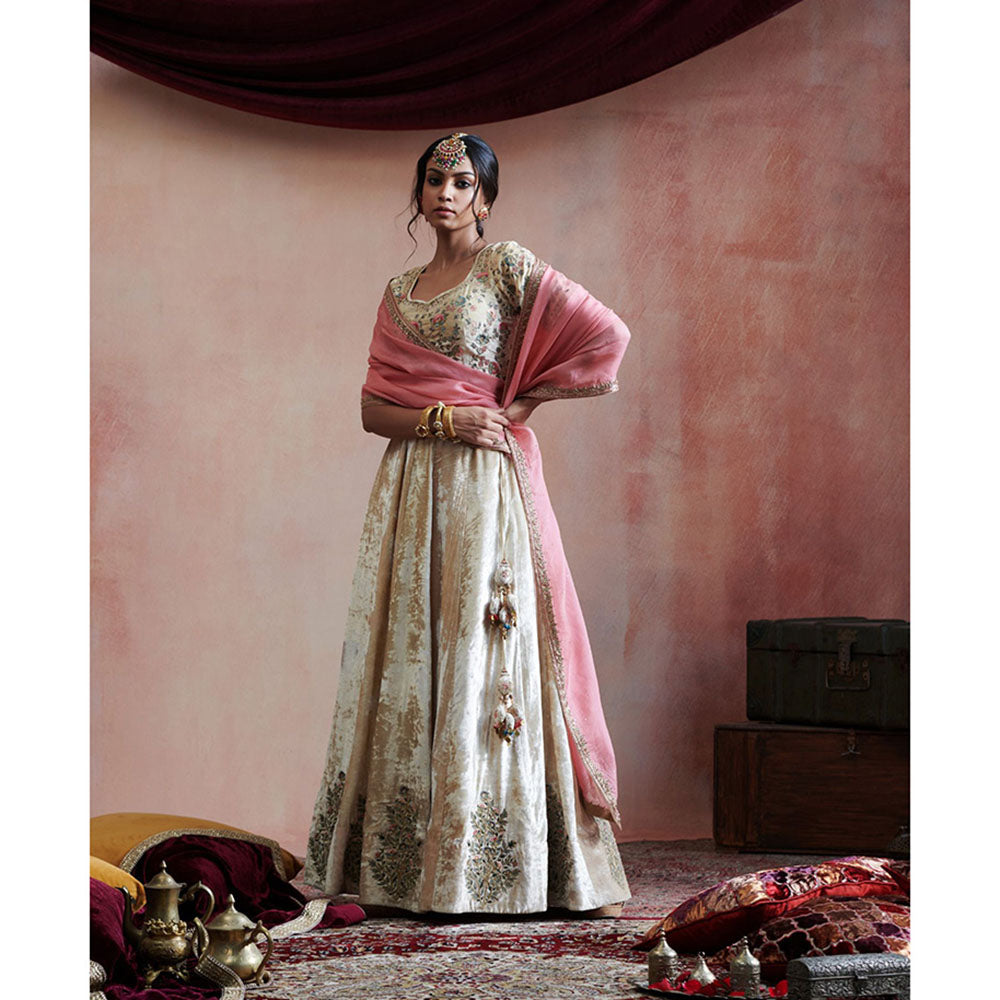 WeaverStory Hand Embroidered Beige Skirt with Blouse & Pink Organza Dupatta (Set of 3)