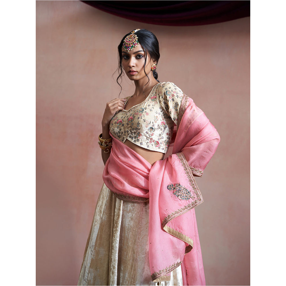 WeaverStory Hand Embroidered Beige Skirt with Blouse & Pink Organza Dupatta (Set of 3)