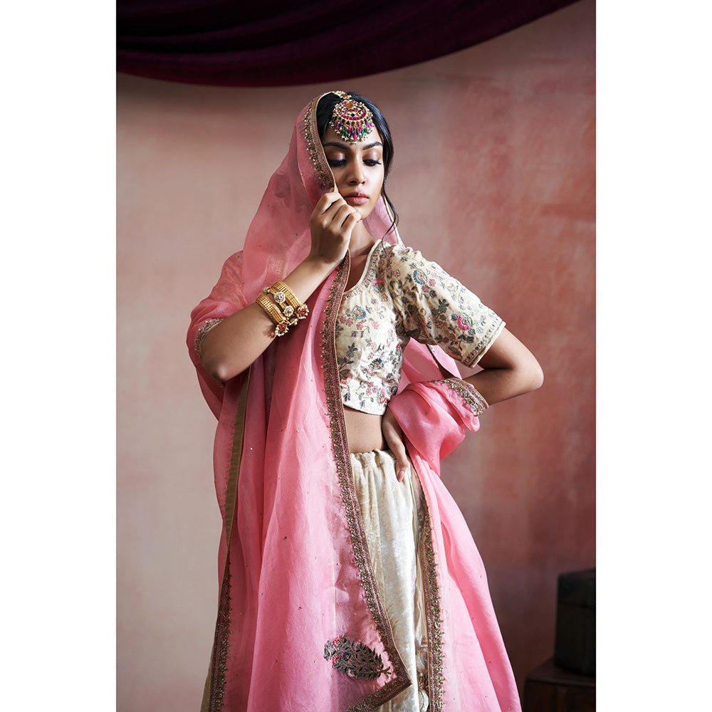 WeaverStory Hand Embroidered Beige Skirt with Blouse & Pink Organza Dupatta (Set of 3)