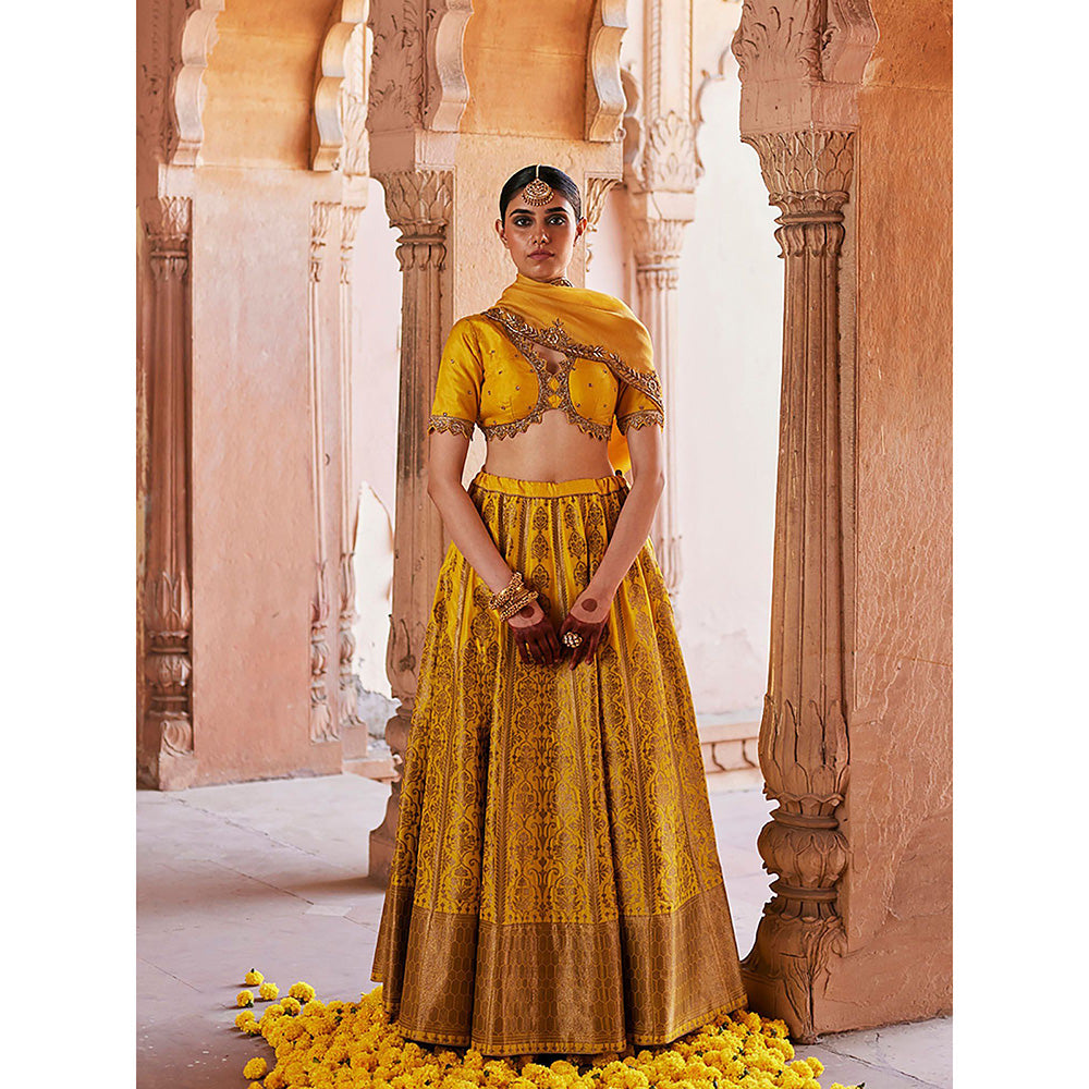 WeaverStory Yellow Pure Katan Silk Brocade Banarasi Lehenga with Choli and Dupatta (Set of 3)