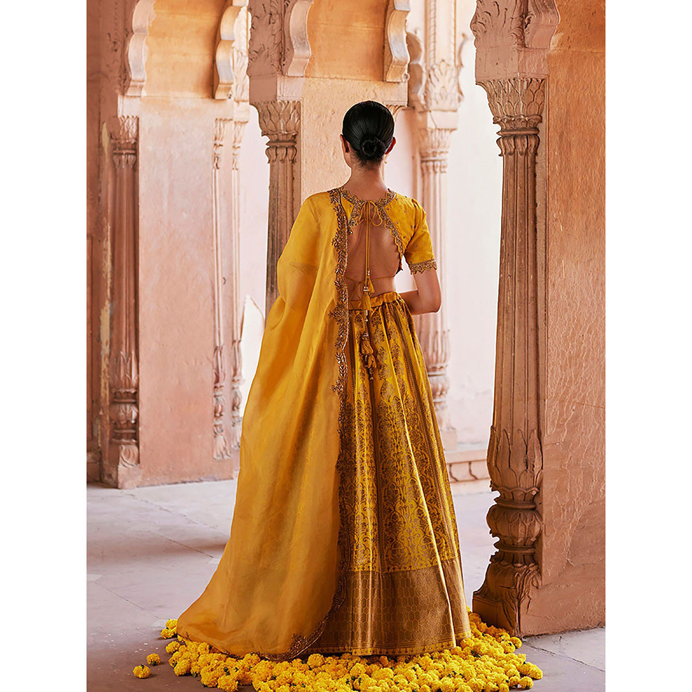 WeaverStory Yellow Pure Katan Silk Brocade Banarasi Lehenga with Choli and Dupatta (Set of 3)