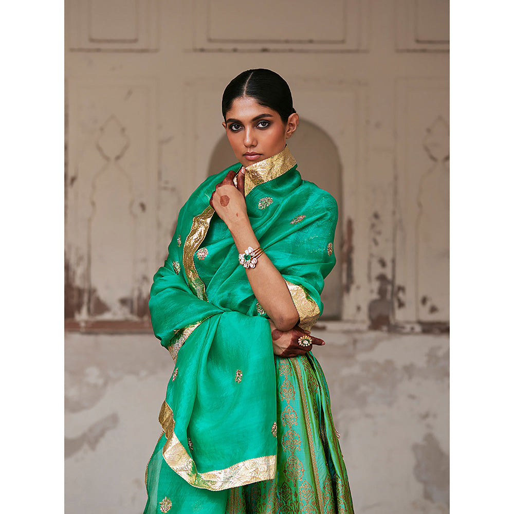 WeaverStory Green Pure Katan Silk Brocade Banarasi Lehenga with Choli and Dupatta (Set of 3)