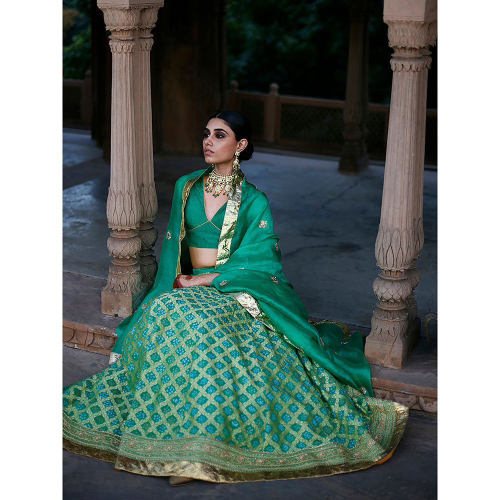 WeaverStory Green Georgette Banarasi Bandhej Lehenga Skirt with Choli and Dupatta (Set of 3)