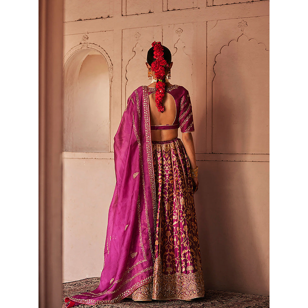 WeaverStory Mulled Wine Hand Zardozi Banarasi Lehenga with Choli and Dupatta (Set of 3)