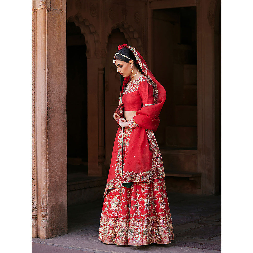 WeaverStory Red Hand Brocade Lehenga with Choli and Pure Organza Dupatta (Set of 3)