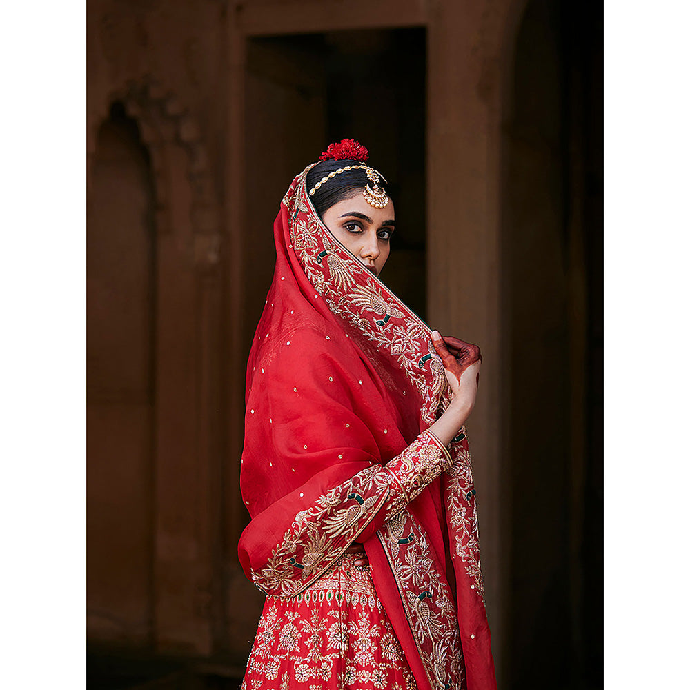 WeaverStory Red Hand Brocade Lehenga with Choli and Pure Organza Dupatta (Set of 3)