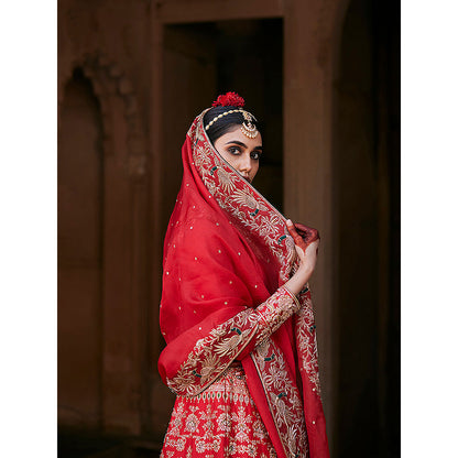 WeaverStory Red Hand Brocade Lehenga with Choli and Pure Organza Dupatta (Set of 3)