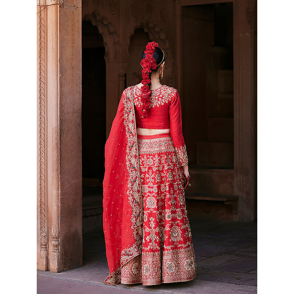 WeaverStory Red Hand Brocade Lehenga with Choli and Pure Organza Dupatta (Set of 3)