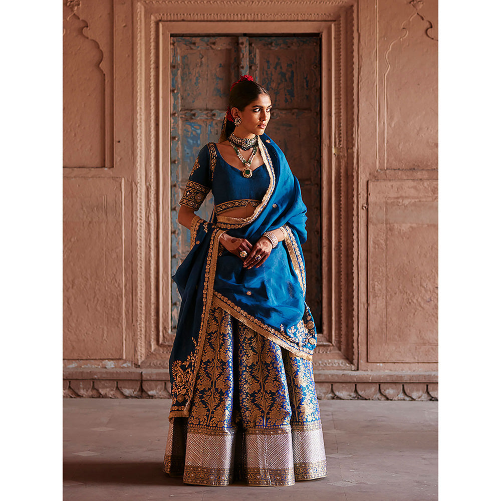 WeaverStory Blue Brocade Lehenga with Hand Choli and Organza Dupatta (Set of 3)
