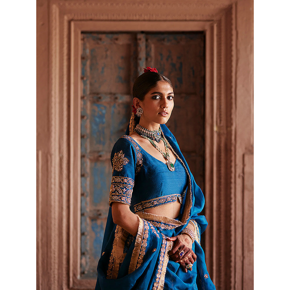 WeaverStory Blue Brocade Lehenga with Hand Choli and Organza Dupatta (Set of 3)