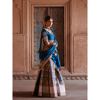 WeaverStory Blue Brocade Lehenga with Hand Choli and Organza Dupatta (Set of 3)