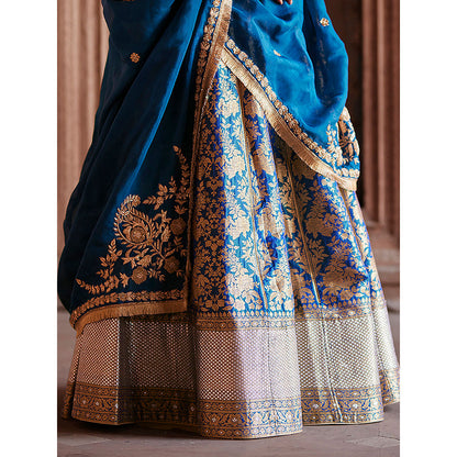 WeaverStory Blue Brocade Lehenga with Hand Choli and Organza Dupatta (Set of 3)