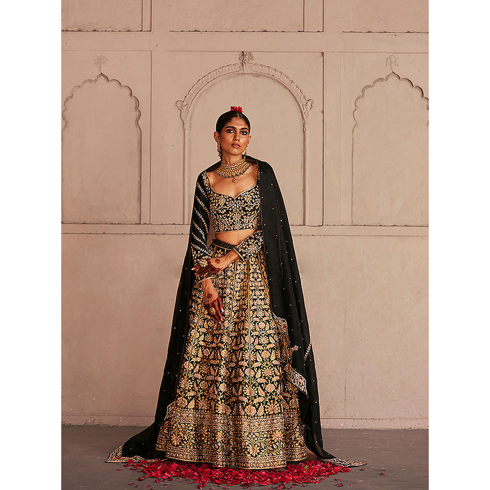 WeaverStory Black Dual Shade Hand Zardozi Lehenga with Choli and Organza Dupatta (Set of 3)