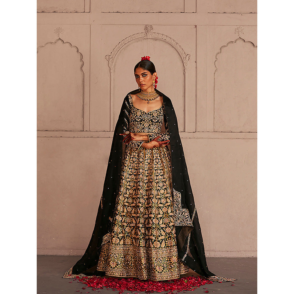 WeaverStory Black Dual Shade Hand Zardozi Lehenga with Choli and Organza Dupatta (Set of 3)